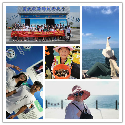 濟南網絡托管公司